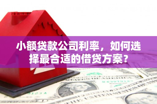 察隅小额贷款公司利率，如何选择最合适的借贷方案？