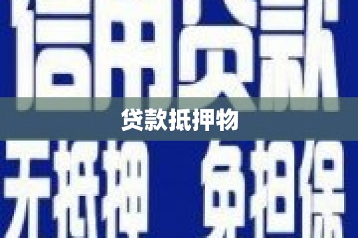 察隅贷款抵押物