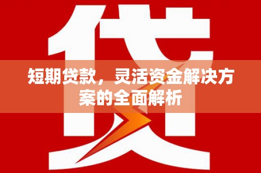 察隅短期贷款，灵活资金解决方案的全面解析