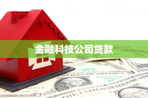 察隅金融科技公司贷款