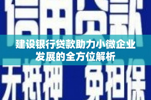 察隅建设银行贷款助力小微企业发展的全方位解析
