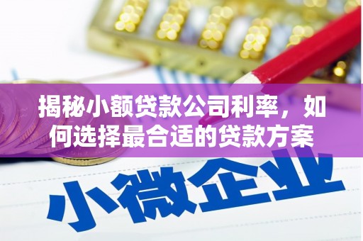 察隅揭秘小额贷款公司利率，如何选择最合适的贷款方案
