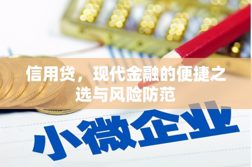 察隅信用贷，现代金融的便捷之选与风险防范