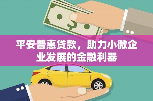 察隅平安普惠贷款，助力小微企业发展的金融利器