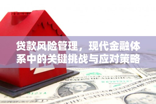 察隅贷款风险管理，现代金融体系中的关键挑战与应对策略