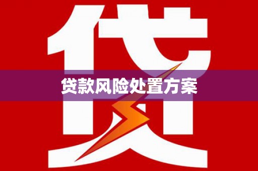 察隅贷款风险处置方案