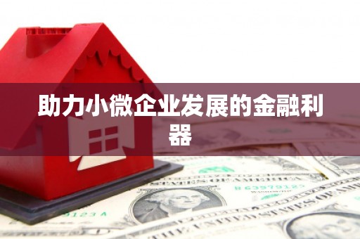 察隅助力小微企业发展的金融利器